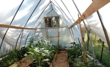 How To Build A Hoop House Style Greenhouse On A Tight Budget Country Homestead Living Living The Homestead Life