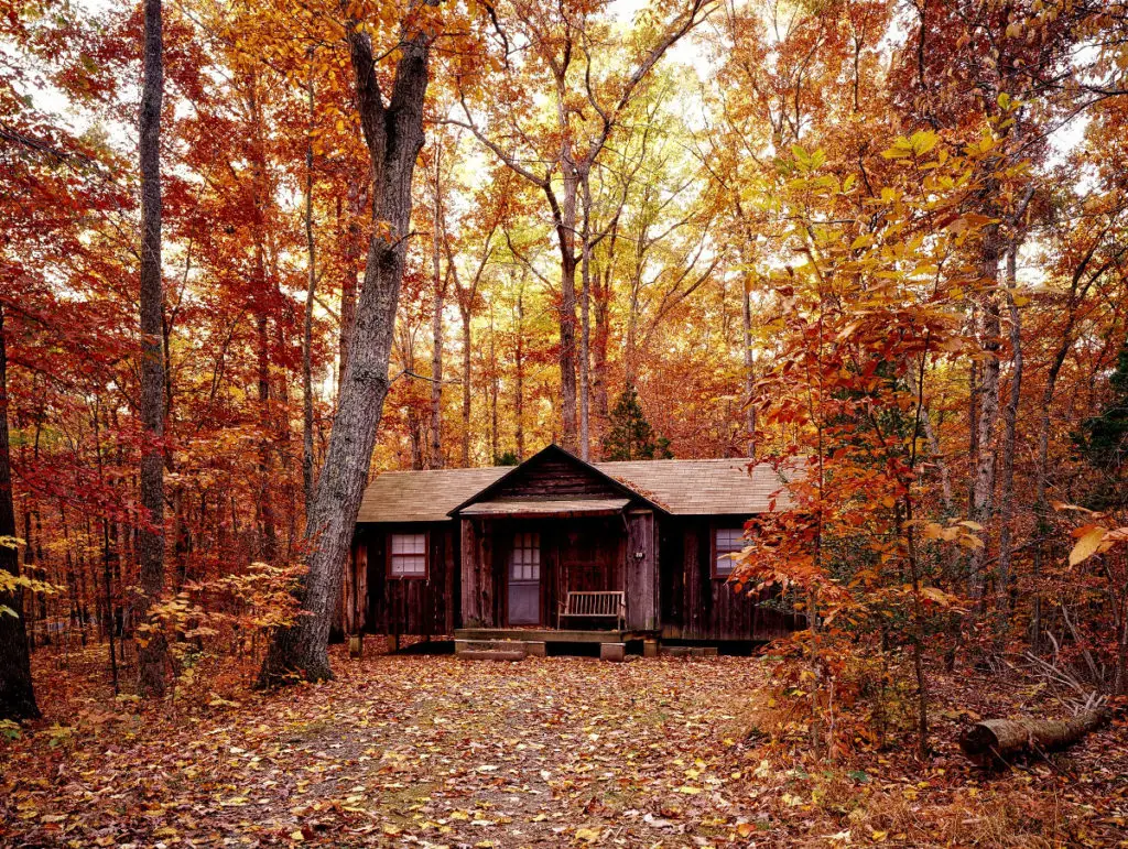 homestead in Autumn