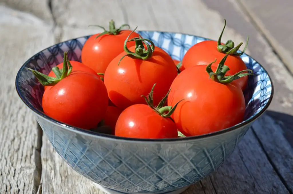 Delightful bowl of Gardener's Delight cherry tomatoes