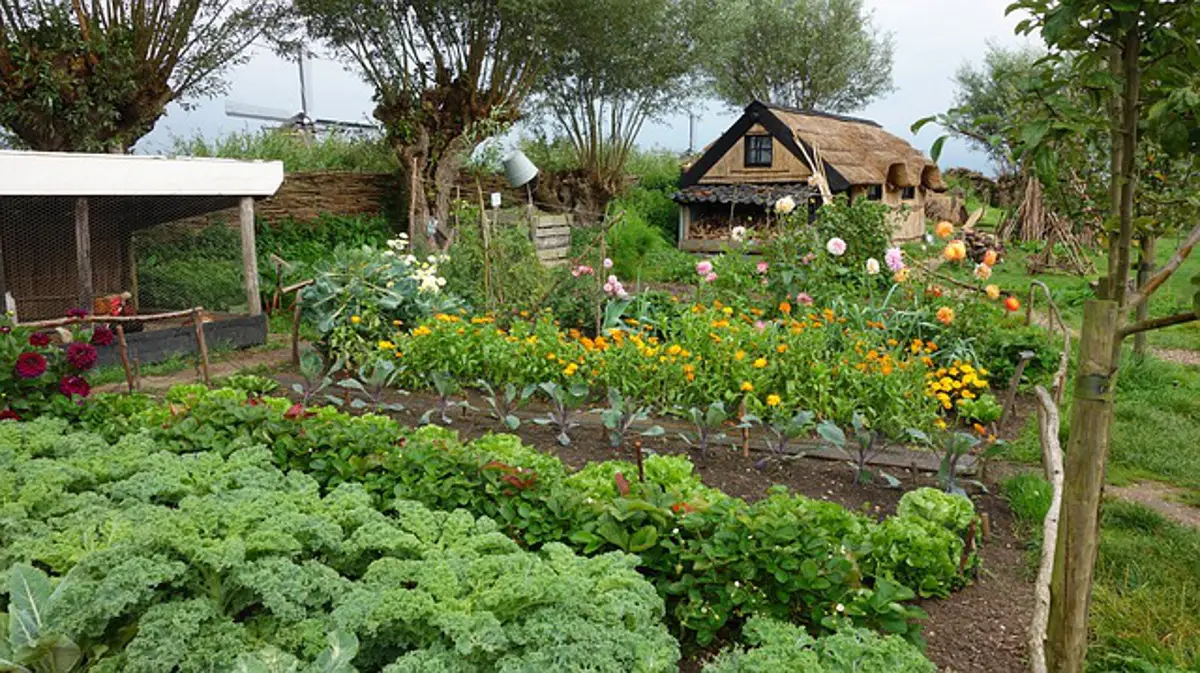 What To Grow In A Homestead Garden - the hobby