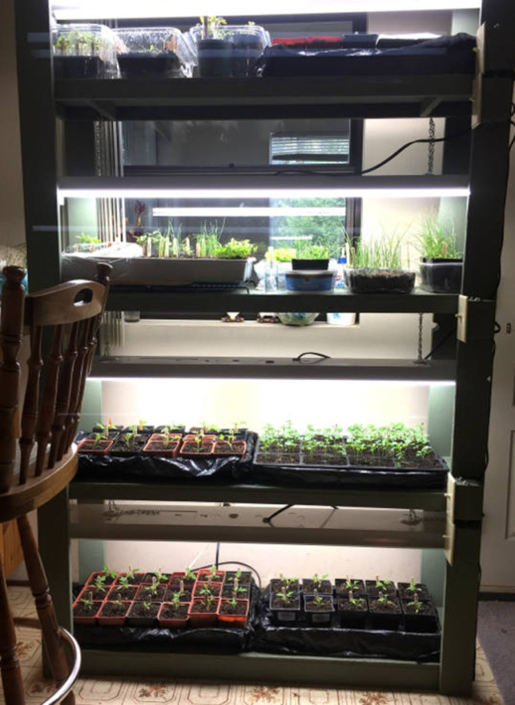 Grow frame with old 4' shop lights and light switches instead of plugs