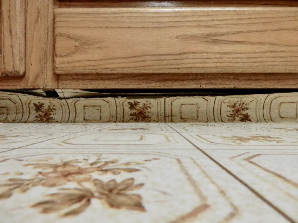 The cockroach sees plenty of good hiding places under cabinet